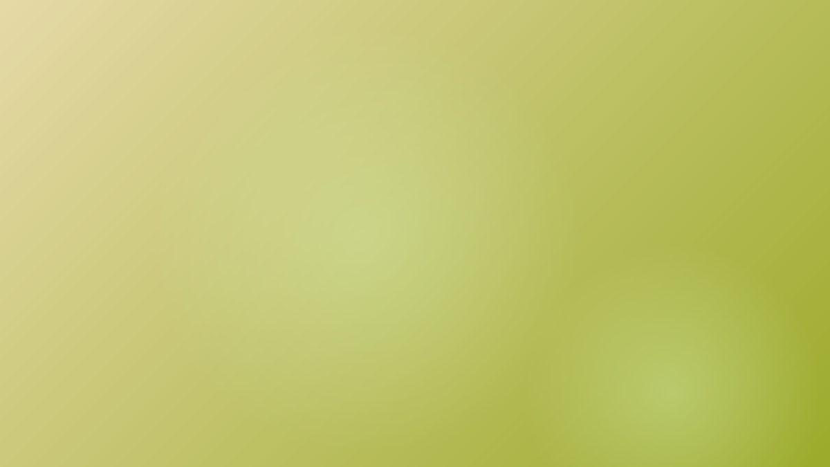 实测：Zaso.ai自动化 vs Notion与Zapier——哪个更擅长简化流程？